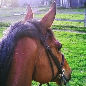 Meet your Posher, Katherine